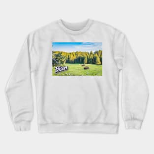 Bison at Yellowstone Crewneck Sweatshirt